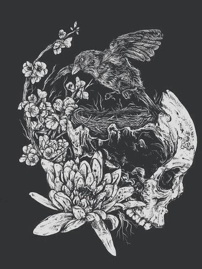 via tumblr Baphomet Aesthetic, Zoe Keller, Inking Illustration, Bird Skull Tattoo, Different Tattoos, Tattoo Artwork, Bird Skull, Dark Tattoo, Skull Tattoos