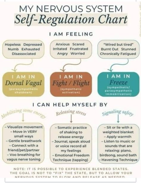 Nervus Vagus, Healing Journaling, Mental Health Therapy, Vie Motivation, Counseling Resources, Emotional Awareness, The Nervous System, Therapy Worksheets, Self Regulation