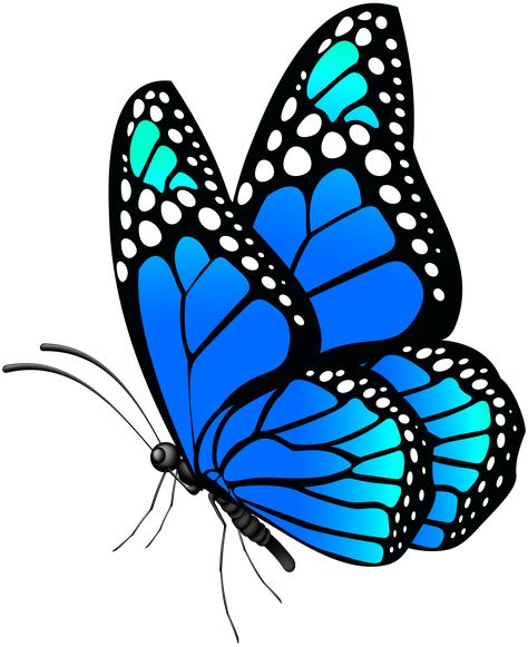 Butterfly Side View, Butterfly Art Drawing, Art Papillon, Butterfly Art Painting, Art Butterfly, Butterfly Clip Art, Butterfly Pictures, Butterfly Drawing, Butterfly Painting