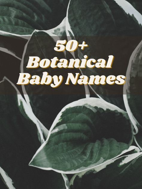 100 Botanical Baby Names | The Friendly Fig Female Flower Names, Cute Names For Plants, Nature Names Girl, Plant Baby Names, Nature Inspired Baby Names, Botanical Names Of Plants, Old Fashion Girl Names, Top Baby Names, Themed Names