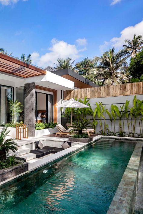 Nice Pools, Jungle View, Bali Architecture, Ubud Villas, Modern Garden Landscaping, Tropical Villa, Bali Style Home, Dream Backyard Garden, Dream Backyard Pool