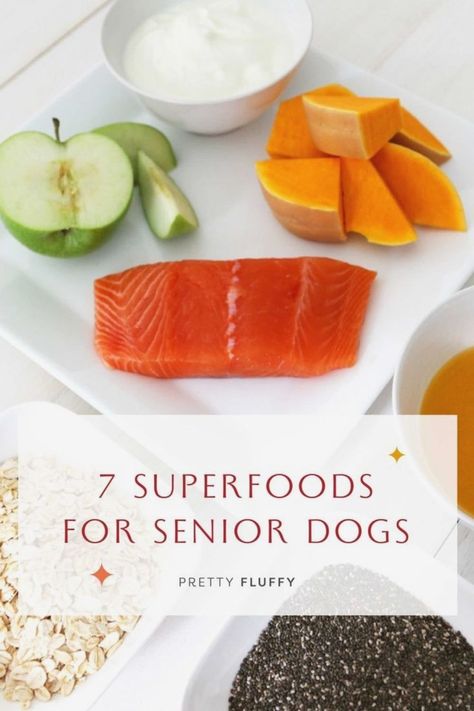 List Of Superfoods, Senior Dog Food, Senior Dog Care, Senior Dogs Care, Super Foods List, Senior Dog Food Recipes, Pet Nutrition, Fluffy Dog, Dog Health Tips