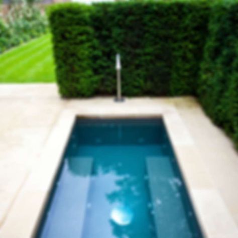 Klein, aber oho: 6 Mini-Pools | homify Kleiner Pool Design, Hot Pools, Cow Nails, Mini Pool, Small Pool Design, Small Pool, Pool Design, Pool Designs, Swimming Pool