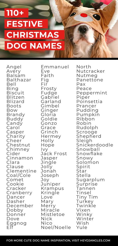 110+ Festive Christmas Themed Dog Names - From Holly to Pudding, Rudolph, Ginger, Noel and more, check out 110+ festive Christmas dog name ideas right here! Christmas Names Ideas, Red Dog Names, Reindeer Centaur, Puppies Names, Viking Names For Dogs, Puppy Litter Theme Names, Harry Potter Dog Names, Naming Characters, Themed Names