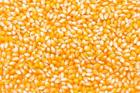 Free photo corn cob seed | Free Photo #Freepik #freephoto #corn-background #sweetcorn #corn #maize Popcorn Seeds, Cool Textures, Creme Puff, Embroidery Video, Dried Corn, Corn Seed, Beaded Designs, White Corn, Yellow Corn