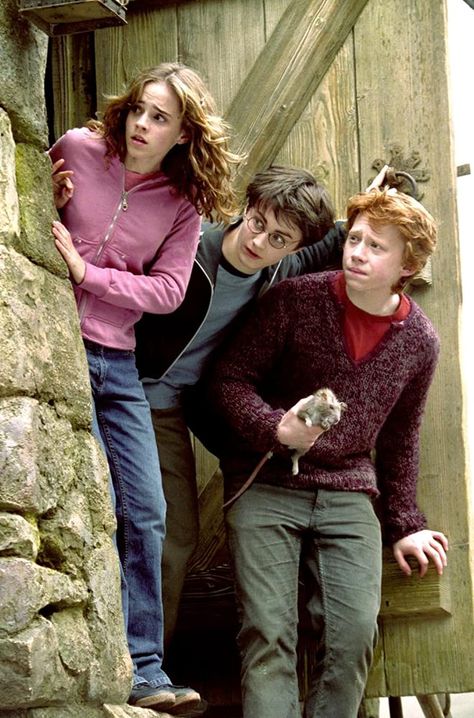 Harry Potter and the Prisoner of Azkaban (2004) Daniel Radcliffe And Emma Watson, The Prisoner, Rupert Grint, The Prisoner Of Azkaban, Prisoner Of Azkaban, Daniel Radcliffe, Emma Watson, Image Search, Harry Potter