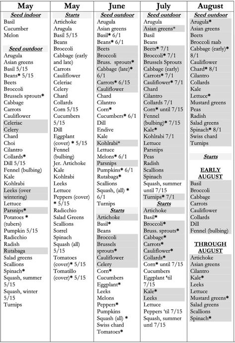 Vegetable Planting Calendar at Portland Nursery Gardening Calendar Uk, Garden Calendar Vegetable, Fruit Planting Calendar, 6b Planting Calendar, Garden Schedule Calendar, Companion Planting Australia, Planting Calendar Zone 7, Seed Planting Calendar, Vegetable Calendar