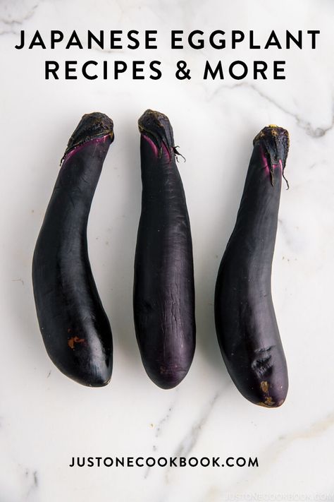 Japanese Vegetables, Eggplant Recipes Healthy, Aubergine Recipes, Eggplant Appetizer, Miso Eggplant, Japanese Eggplant, Recipe Vegetables, Chinese Eggplant, Aubergine Recipe