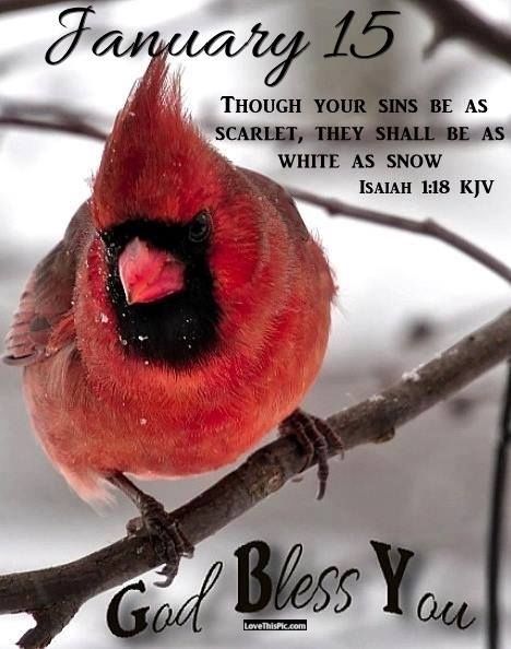 January 15 winter good morning quotes january good morning bird January Days, January Images, January Quotes, Months And Seasons, Isaiah 1, Bible Verses Kjv, Good Morning Happy Sunday, Words Of Faith, Weekday Quotes