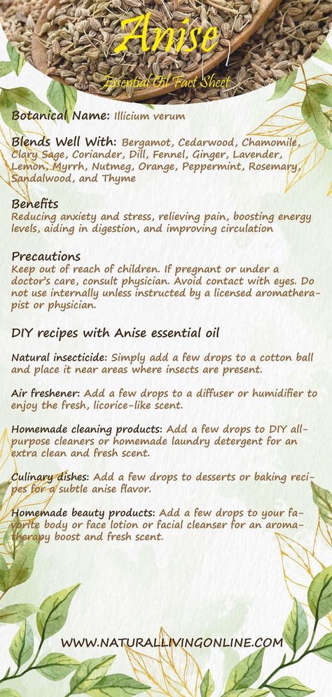 Anise essential oil is a powerful plant extract that has many benefits for the mind, body and spirit. It has been used for centuries in traditional medicine to treat a variety of conditions. Anise oil is extracted from the anise plant, a flowering herb in the parsley family. The oil has a sweet, licorice-like smell and is colorless or pale yellow. It is widely used in aromatherapy and can be found in many commercial products such as mouthwash, toothpaste and candy. #anise #essentialoil Anise Seed Benefits, Anise Recipes, Star Anise Benefits, Thyme Benefits, Anise Oil, Natural Insecticide, Anise Seed, Boost Energy Levels, Traditional Medicine