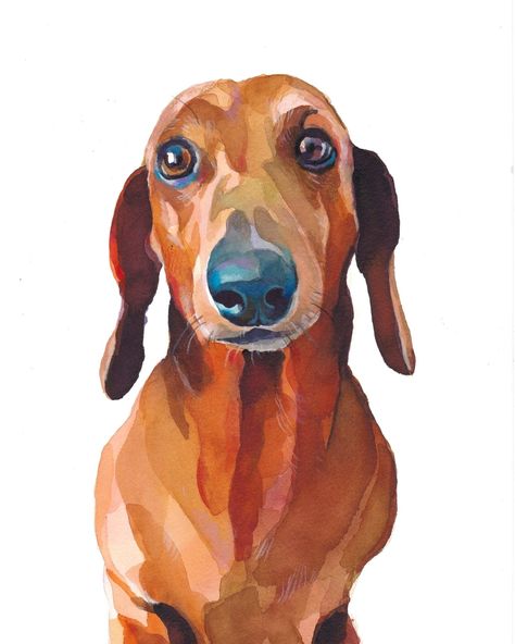 Vintage Dachshund Illustrations, Sausage Dog Painting, Daschund Watercolour, Dachshund Paintings, Daschund Art, Dachshund Watercolor, Arte Dachshund, Dachshund Painting, Doxie Art