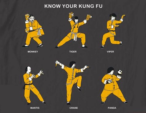 Know your Kung Fu Kung Fu Photography, Marshal Arts Kung Fu, Kung Fu Stances, Kung Fu Styles, Kung Fu Aesthetic, Kung Fu Poses, Samurai Stance, Kung Fu Stance, Kung Fu Techniques