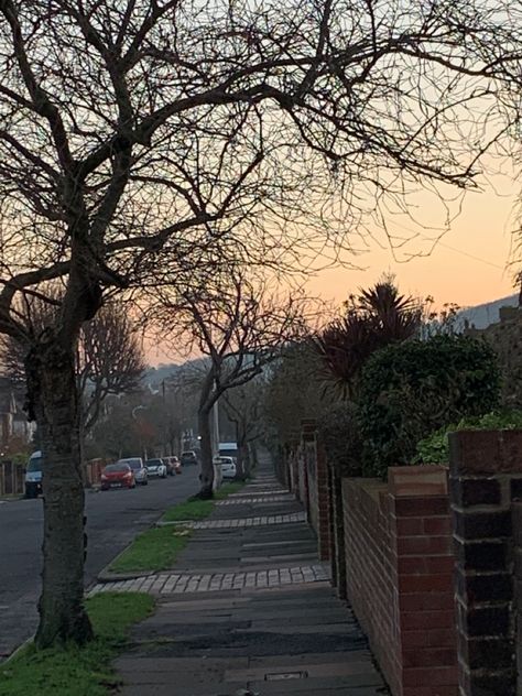 Pavement Aesthetic, Sun City South Africa Aesthetic, Tree Lined Street Aesthetic, Sunset Suburbs Aesthetic, Sunlight Through Trees Aesthetic, Sunset Suburbs, Foreign Countries, Winter Trees, Sunrise Sunset