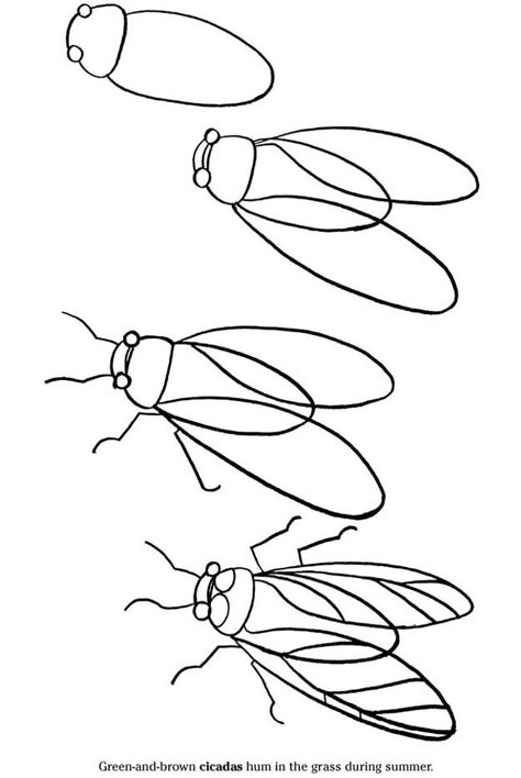 Learn to draw one! | 26 Ways To Embrace The Oncoming Cicada Invasion Insect Art, Drawing Lessons, Drawing And Painting, Teaching Art, Step By Step Drawing, Drawing Tutorials, Kids Art, Learn To Draw, Drawing Techniques