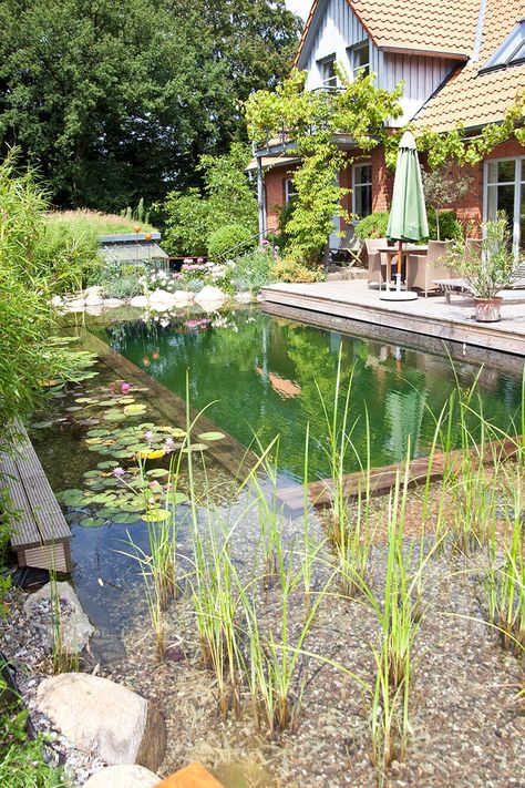 Bio Pool, Swimming Pool Pond, Swimming Ponds, Natural Swimming Ponds, Pool Pond, Small Pond, Small Swimming Pools, Swimming Pond, Natural Pond