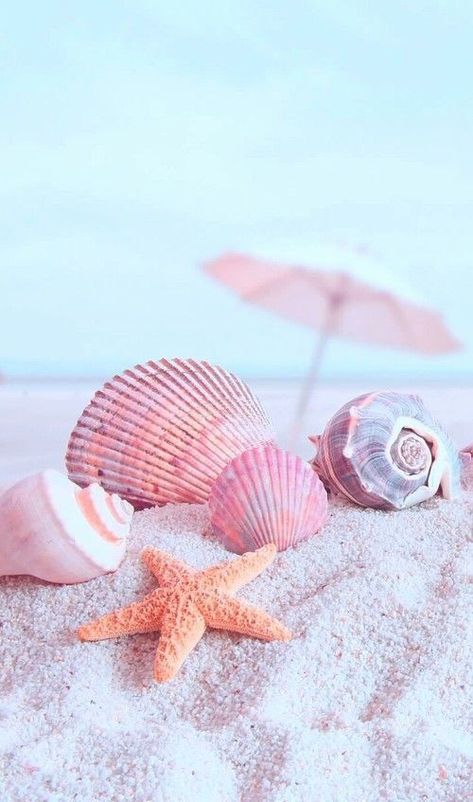 beach and shells image Strand Wallpaper, Wallpaper Sky, Wallpaper Pastel, Iphone Backgrounds, Ocean Wallpaper, Beach Wallpaper, Wallpaper Vintage, Wallpapers Iphone, Photo Wall Collage