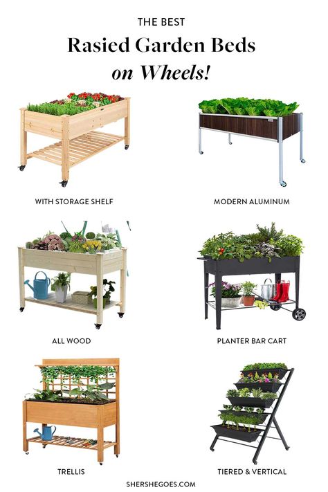 Raised Garden Beds For Renters, Raised Garden Beds Balcony, Tiny Raised Bed Garden, Moveable Garden Bed, Balcony Raised Garden Bed, Planter Box On Wheels, Mobile Herb Garden, Raised Bed On Wheels, Apartment Raised Garden Bed