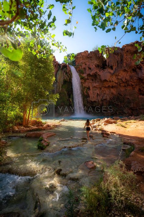 Havasu Falls Arizona, Hikes In Arizona, Havasupai Falls, Beaver Falls, Havasu Falls, Arizona Hiking, Ultimate Bucket List, Woman Walking, Backpacking Trip