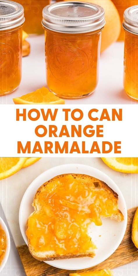 Make and can your own orange marmalade with this easy recipe. Enjoy the sweet and tangy flavors of homemade marmalade all year long. Orange Marmalade Recipe, Lemon Marmalade, Marmalade Jam, Orange Jam, Marmalade Recipe, Home Canning Recipes, Jam Recipes Homemade, Canning Recipe, Canning Jam