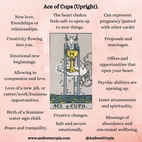 A description and list of what the Ace of Cups means within the Tarot deck, from the suit of cups.

#tarot #aceofcups #suitofcups Ace Cups Tarot Meaning, Cups In Tarot Meaning, Suit Of Cups Tarot Meaning, Tarot Cards Ace Of Cups, 2 Of Cups Tarot Meaning, 6 Of Swords Reversed, 8 Of Cups Tarot Meaning, Ten Of Cups Tarot Meaning, Page Of Cups Tarot Meaning