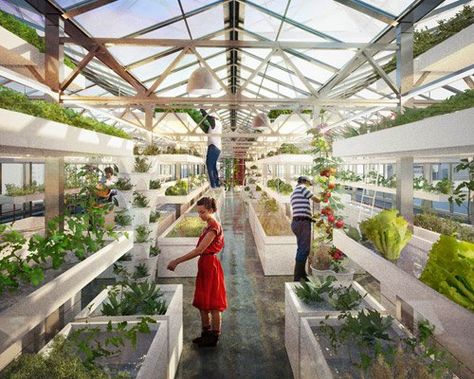 antonio scarponi combines urban farming with industrial rooftops Farming Architecture, Agriculture Design, Strategic Design, Greenhouse Farming, Vertical Farm, Aquaponics Diy, Urban Farmer, Urban Agriculture, Vertical Farming