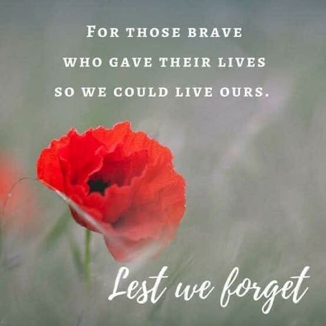 Anzac Day Quotes, Remembrance Day Quotes, Lest We Forget Anzac, Anzac Day Australia, Remembrance Day Art, Remembrance Day Poppy, Funny Cartoon Pictures, 11 November, Anzac Day