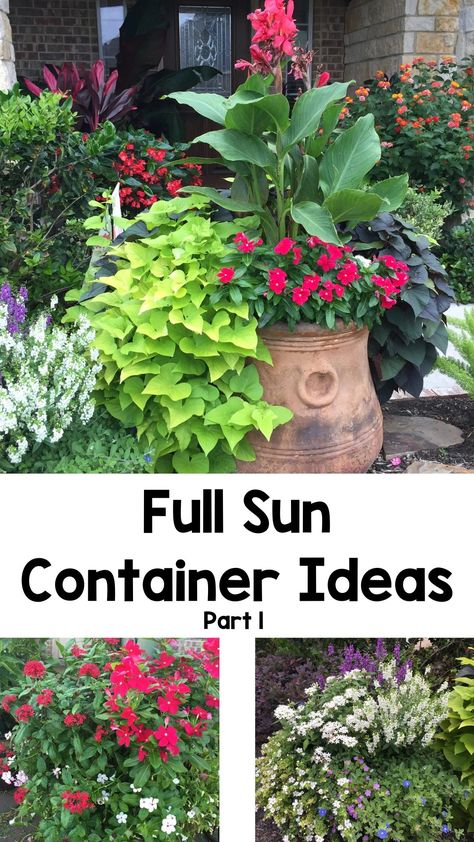 Full Sun Container Ideas (Part 1) Best Full Sun Plants For Pots, Full Sun Container Ideas, Patio Planter Ideas Plant Pots, Potted Plants Full Sun, Full Sun Planters, Full Sun Container Plants, Front Porch Flower Pots, Front Porch Plants, Wood Sun