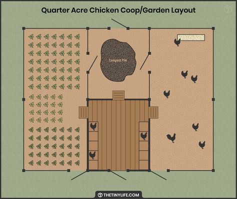 Sunflower Chicken Coop, Chicken Coop By Garden, Chicken Coop Veggie Garden, Garden Chicken Coop Layout, Garden Layout With Chicken Coop, Chicken Coop Attached To House, Chicken Space Requirements, Chickens Small Backyard, Herb Garden Chicken Coop