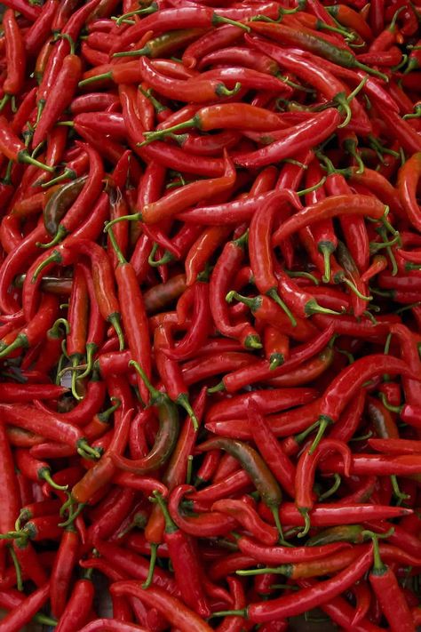 Thai Peppers, Thai Chili Pepper, Taco Food, Types Of Peppers, Chile Peppers, Capsicum Annuum, Hot Pepper Sauce, Red Chili Peppers, Chile Pepper