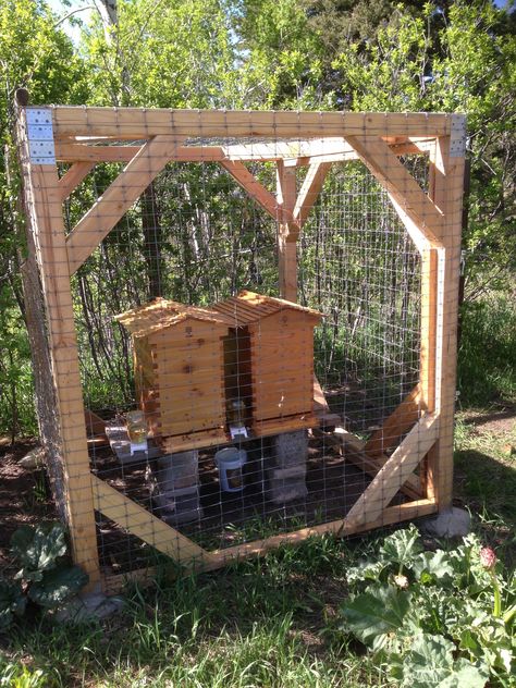 Show a pic of your setup - Beekeeping - Basics - Flow Forum Bee Hive Setup, Best Flowers For Bees, Honey Bee Farming, Hive Stand, Backyard Bee, Backyard Beekeeping, Future Farms, Homestead Farm, Bee Farm