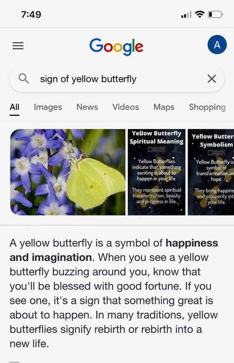 Yellow Butterfly Meaning, Butterfly Meaning, Flower Meanings, Image Map, Yellow Butterfly, Spiritual Meaning, Angel Numbers, Beautiful Nature, Meant To Be