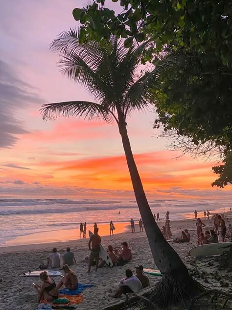 Santa Teresa Costa Rica, Slow Travel, Pacific Coast, Costa Rica, Travel Experience, Us Travel, Travel Blog, Travel Guide, Surfing