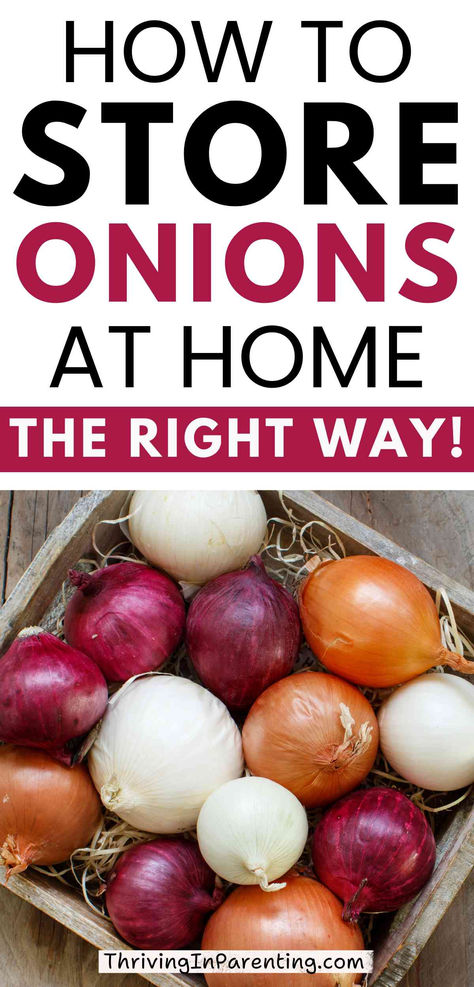 Preserve Onions, Store Onions, Storing Onions, Harvest Storage, Onion Storage, Preserving Herbs, Cooking 101, Cooking Guide, Best Side Dishes