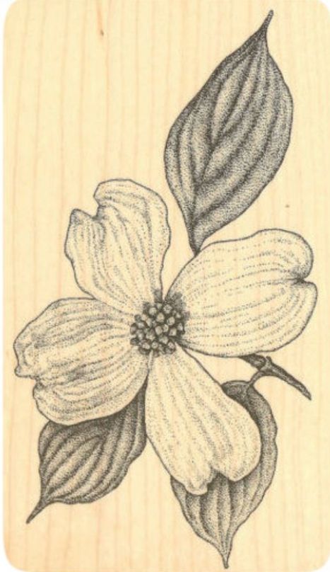 Dogwood Tattoo, Dogwood Flower Tattoos, Dogwood Blooms, Dogwood Flower, Dogwood Blossoms, Sketch Tattoo Design, Dogwood Trees, Dogwood Flowers, Simple Line Drawings