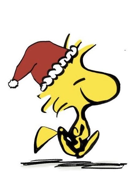 Good Night Christmas, Christmas Snoopy, Woodstock Peanuts, Woodstock Snoopy, Snoopy Images, Night Christmas, Snoopy Wallpaper, Peanuts Christmas, Snoopy Pictures