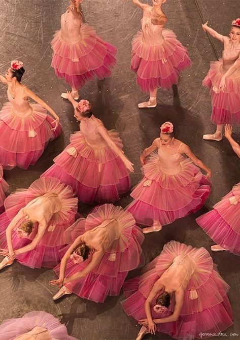 Ballet Beauty, Ballet Inspiration, Tutu Skirts, City Ballet, Ballet Core, Nutcracker Ballet, Ballet Photography, Ballet Beautiful, Tiny Dancer