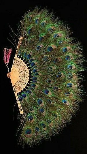 Peacock feather fan Peacock Feather Fan, Peacock Feather Decor, Peacock Angel, Peacock Accessories, Bridal Fan, Peacock Crafts, Fan Image, African Inspired Decor, Fan Hand