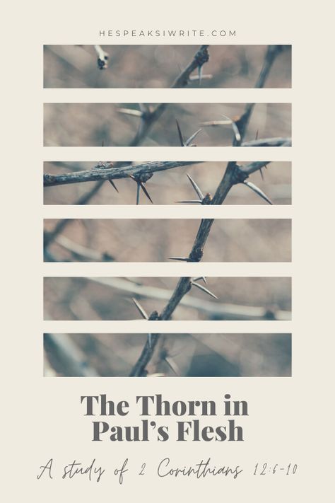 Have you stopped to think about Paul's thorn in the flesh in 2 Corinthians 12 and why he bothered to mention it? Read my latest blog post to find out more about the significance of Paul's thorn in the context of his ministry. Thorn In The Flesh, Psalm 116, Only Jesus, Faith Blogs, Makes No Sense, Here On Earth, I Am Strong, The Flesh, Speak The Truth