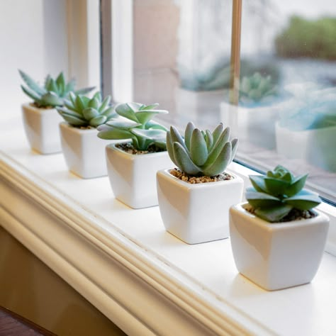 Small Window Sill Plants, Tiny Fake Plants, Fake Plants Pink, Small Fake Plants Decor, Succulents On Window Sill, Small Plants Aesthetic, Small Window Sill Decor, Fake Plants Aesthetic, Bathroom Window Sill Decor