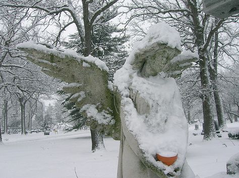 close up. Chicago Eerie Christmas Aesthetic, Winter Woods Illustration, Creepy Ethereal Aesthetic, Scary Winter Aesthetic, Creepy Winter Aesthetic, Winter City Aesthetic, Dark Angelcore, Gothic Winter, Terrence Loves You