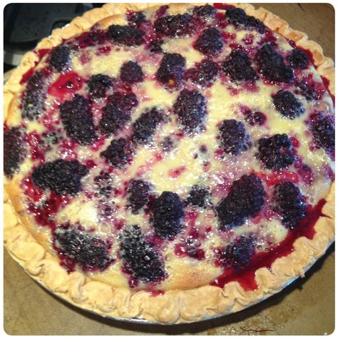 Blackberry Custard Pie Blackberry Custard, Raspberry Cream Pie, Raspberry Cream Pies, Blackberry Dessert, Yummy Pies, Black Raspberries, Custard Pie Recipe, Blackberry Pie, Blackberry Recipes