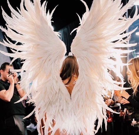 Vs Backstage, Victoria Secret Wings, Victoria Secret Angel Wings, Victoria's Secret Aesthetic, Angel Halloween, Victoria Secret Angel, Victoria Secret Model, Angel Energy, Model Lifestyle