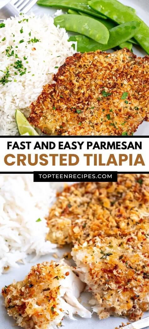 Fast and Easy Parmesan Crusted Tilapia - Top Recipes Breaded Tilapia Recipes Baked Parmesan Crusted, Panko Parmesan Tilapia, Tilapia Breaded Recipes, Tilapia Fried Recipes, Stove Top Tilapia Recipes, Parmesan Crusted White Fish, Tilapia Baked Recipes, Parmesan Crusted Tilapia Pan Fried, Tilapia Parmesan Crusted