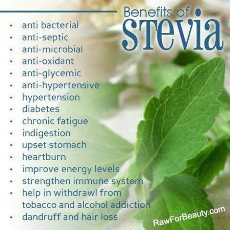 Stevia Benefits, Stevia Recipes, Slim Drink, Improve Energy Levels, Health Guide, Healing Herbs, Organic Health, Natural Medicine, Herbal Medicine