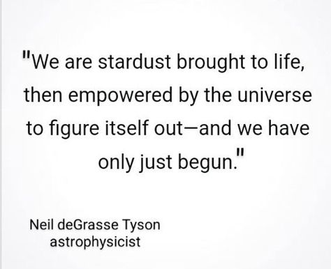 "We are stardust brought to life..." –a quote from Neil deGrasse Tyson, astrophysicist Neil Armstrong Quotes, Astrophysics Quotes, Astronomy Quotes Universe, Reincarnation Quotes, Stardust Quotes, Neil Degrasse Tyson Quote, Tyson Quotes, We Are All Stardust, Hobo Symbols