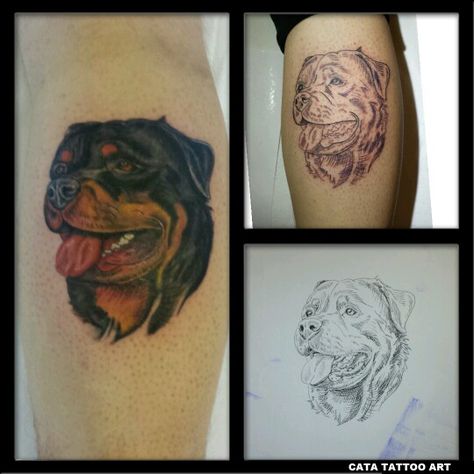 Rottweiler tattoo Rottweiler Tattoo For Women, Rottweiler Tattoo, Piercing Tattoo, Rottweiler, I Tattoo, Skull Tattoo, Portrait Tattoo, Tattoos For Women, Tatting