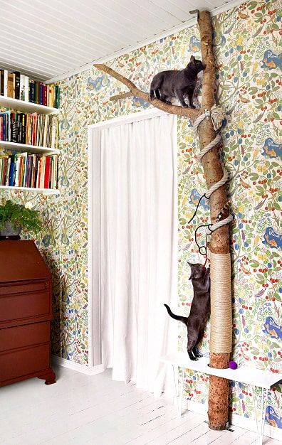 Diy Jouet Pour Chat, Katt Diy, Katt Grejer, Chat Diy, Kat Diy, Cool Cat Toys, Koti Diy, Diy Cat Tree, Cat House Diy