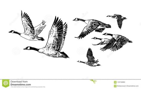 Wild Geese Tattoo, Geese Tattoo, Ducks Painting, Goose Drawing, Goose Tattoo, N Drawing, Vogel Silhouette, Fly Drawing, Hunting Tattoos