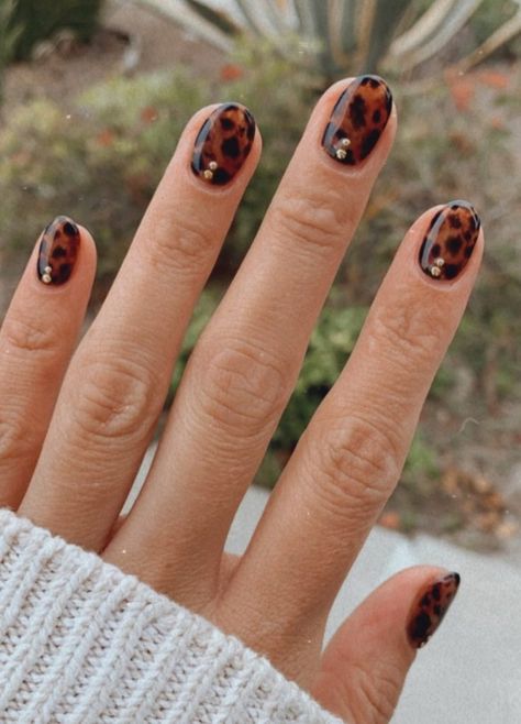 Tortoise Shell Nail Ideas for Your Next Manicure | The Everygirl Short Nail Designs Tortoise Shell, Tortoise And Green Nails, Dark Tortoise Nails, Blooming Gel Tortoise Shell, Tortoiseshell Nails Square, Tortoise Nails Short, Almond Nails Tortoise, Nails Turtle Shell, Tort Nails