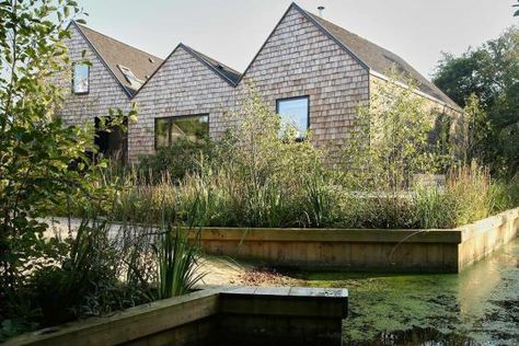 The incredible Norfolk Broads holiday home built on stilts: meet the Londoners who built a weekend retreat on water - now worth £1.15m Jetty Design Architecture, Wooden House On Stilts, Alan Williams, Boat Shed, Clad Home, Norfolk Broads, British Architecture, Country Retreat, Stilts